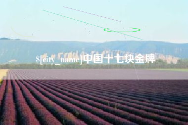 临朐中国十七块金牌