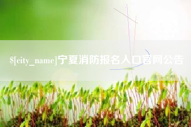临朐宁夏消防报名入口官网公告