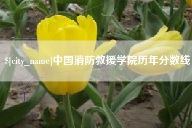 临朐中国消防救援学院历年分数线