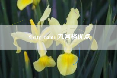 临朐九宫格优点