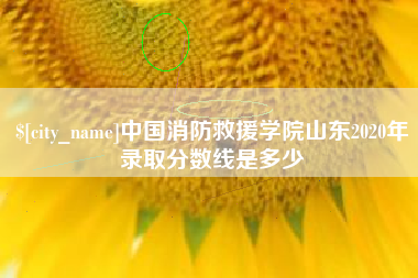 临朐中国消防救援学院山东2020年录取分数线是多少