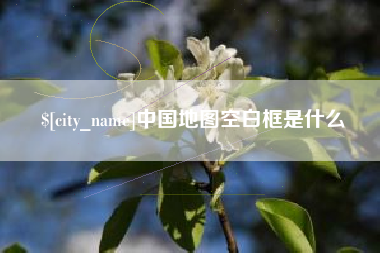 临朐中国地图空白框是什么