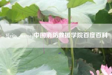 临朐中国消防救援学院百度百科