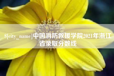 临朐中国消防救援学院2021年浙江省录取分数线