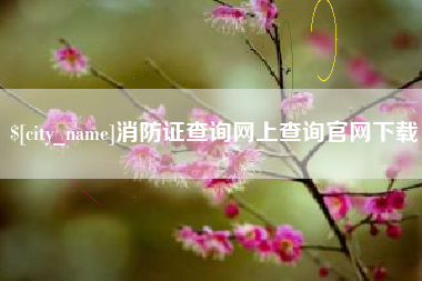 临朐消防证查询网上查询官网下载