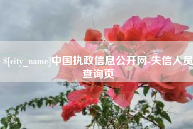 临朐中国执政信息公开网-失信人员查询页