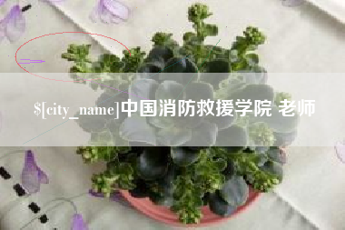 临朐中国消防救援学院 老师