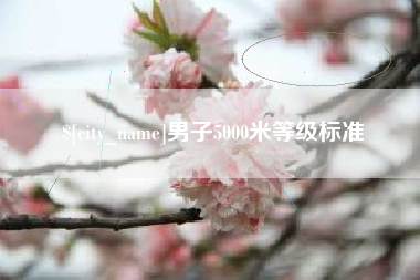 临朐男子5000米等级标准