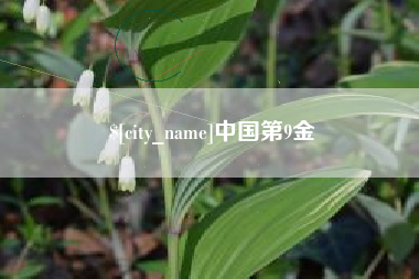 临朐中国第9金