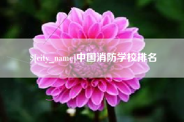 临朐中国消防学校排名