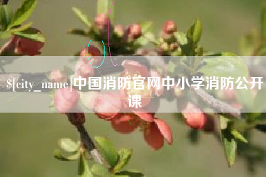 临朐中国消防官网中小学消防公开课
