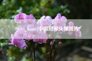 临朐中国冠军头像图片