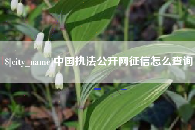 临朐中国执法公开网征信怎么查询