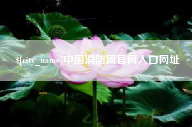临朐中国消防网官网入口网址