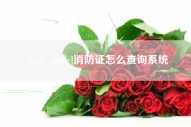 临朐消防证怎么查询系统