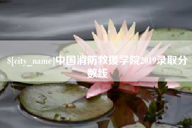 临朐中国消防救援学院2019录取分数线