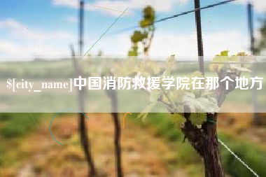 临朐中国消防救援学院在那个地方