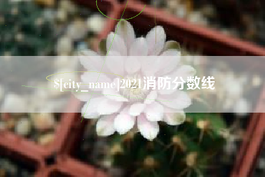 临朐2021消防分数线