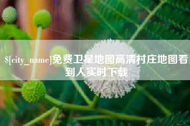 临朐免费卫星地图高清村庄地图看到人实时下载
