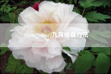 临朐九宫排盘方法
