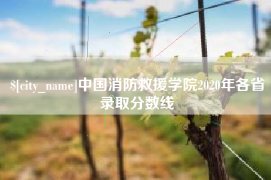 临朐中国消防救援学院2020年各省录取分数线
