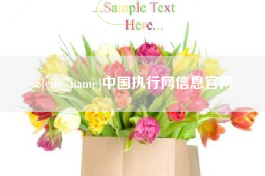 临朐中国执行网信息官网
