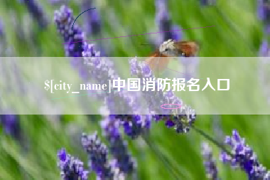 临朐中国消防报名入口