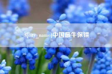临朐中国最牛保镖