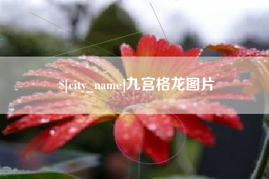 临朐九宫格龙图片