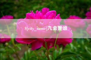 临朐九金是谁