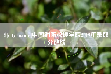 临朐中国消防救援学院2019年录取分数线