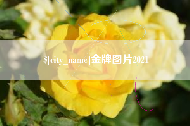 临朐金牌图片2021