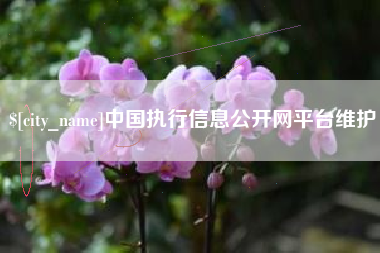 临朐中国执行信息公开网平台维护