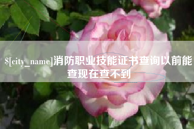 临朐消防职业技能证书查询以前能查现在查不到