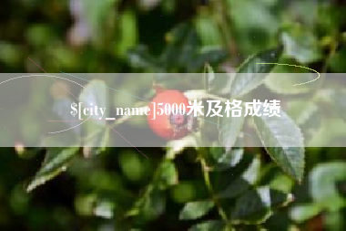 临朐5000米及格成绩