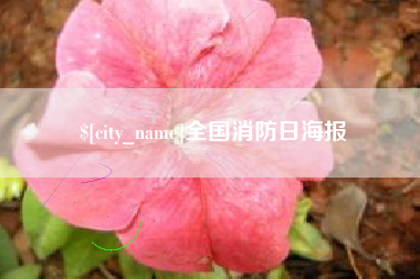 临朐全国消防日海报