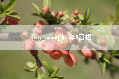 临朐2021年9宫格
