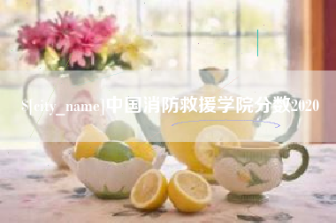 临朐中国消防救援学院分数2020
