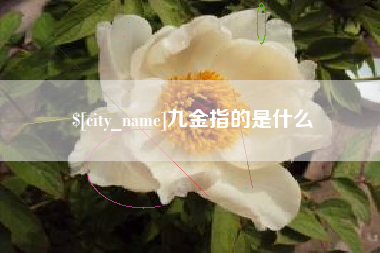 临朐九金指的是什么