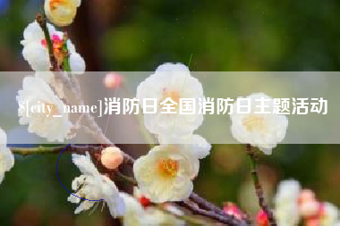 临朐消防日全国消防日主题活动