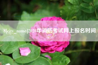 临朐2020年消防考试网上报名时间