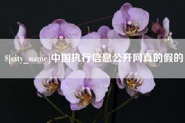 临朐中国执行信息公开网真的假的