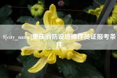 临朐重庆消防设施操作员证报考条件