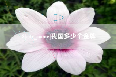 临朐我国多少个金牌