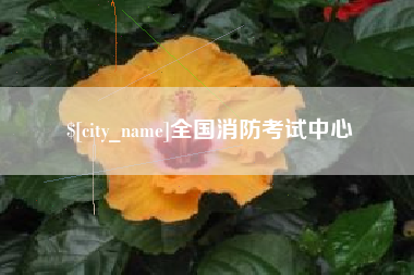 临朐全国消防考试中心