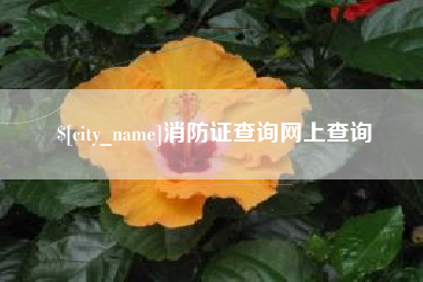 临朐消防证查询网上查询