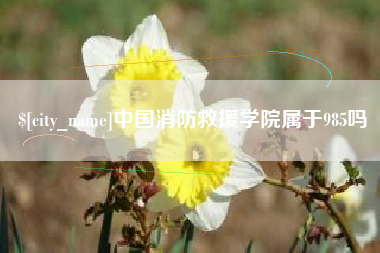 临朐中国消防救援学院属于985吗
