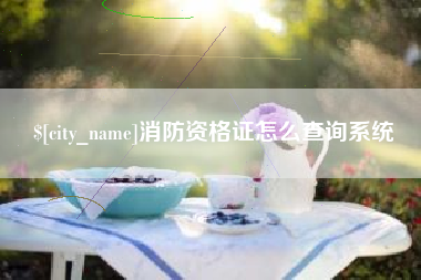 临朐消防资格证怎么查询系统