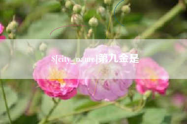 临朐第九金是