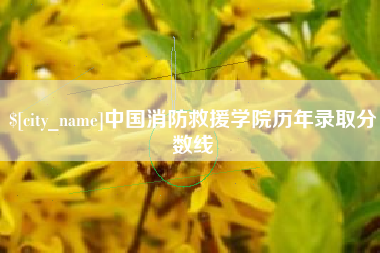 临朐中国消防救援学院历年录取分数线